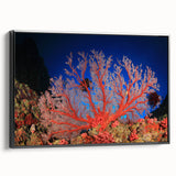 Black and white framed canvas of the Great Barrier Reef, ideal for bedroom wall art in a vintage poster style.