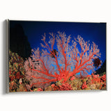 Vintage poster art of the Great Barrier Reef in colorful hues on a framed canvas, ideal for living room decor.
