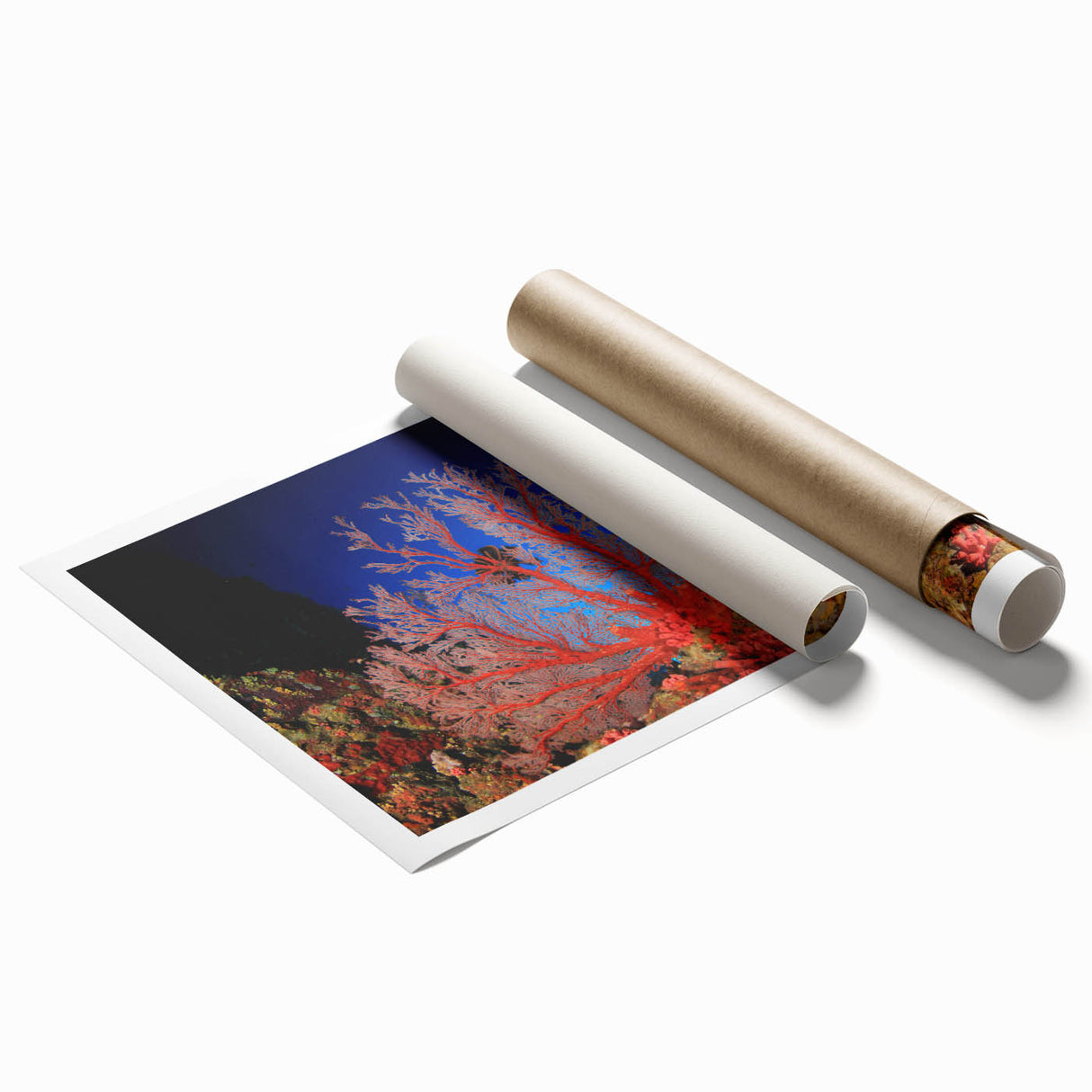 Extra large rolled print of the Great Barrier Reef in vivid blue and green tones, ideal for classy bathroom wall art.