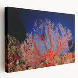 Stretched canvas print of the Great Barrier Reef in vivid blue and aqua tones, suitable for kitchen wall art.