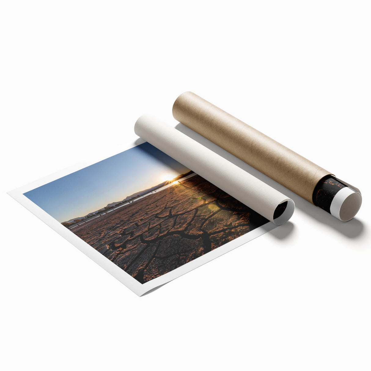 Extra large rolled print of a Queensland, Australia scenery with vibrant floral elements, ideal for classy bathroom wall art.