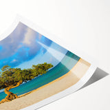 Extra large wall art featuring line art flowers in minimalistic style on rolled canvas, ideal for large living room decor.