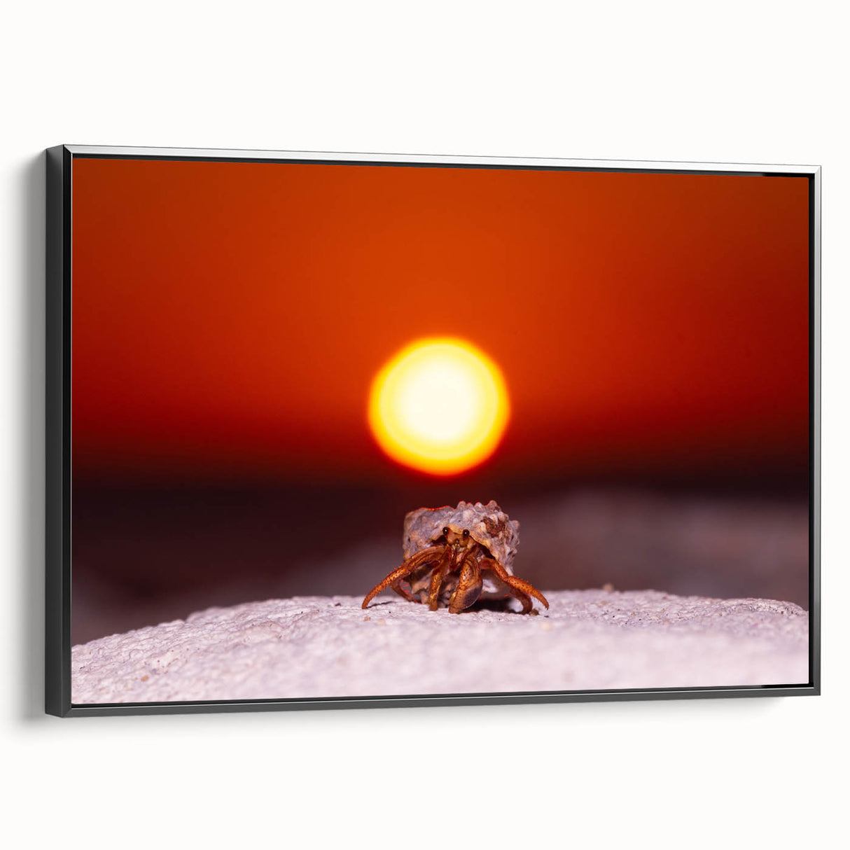 Black and white framed canvas depicting a serene Caribbean landscape, ideal for bedroom wall decor.