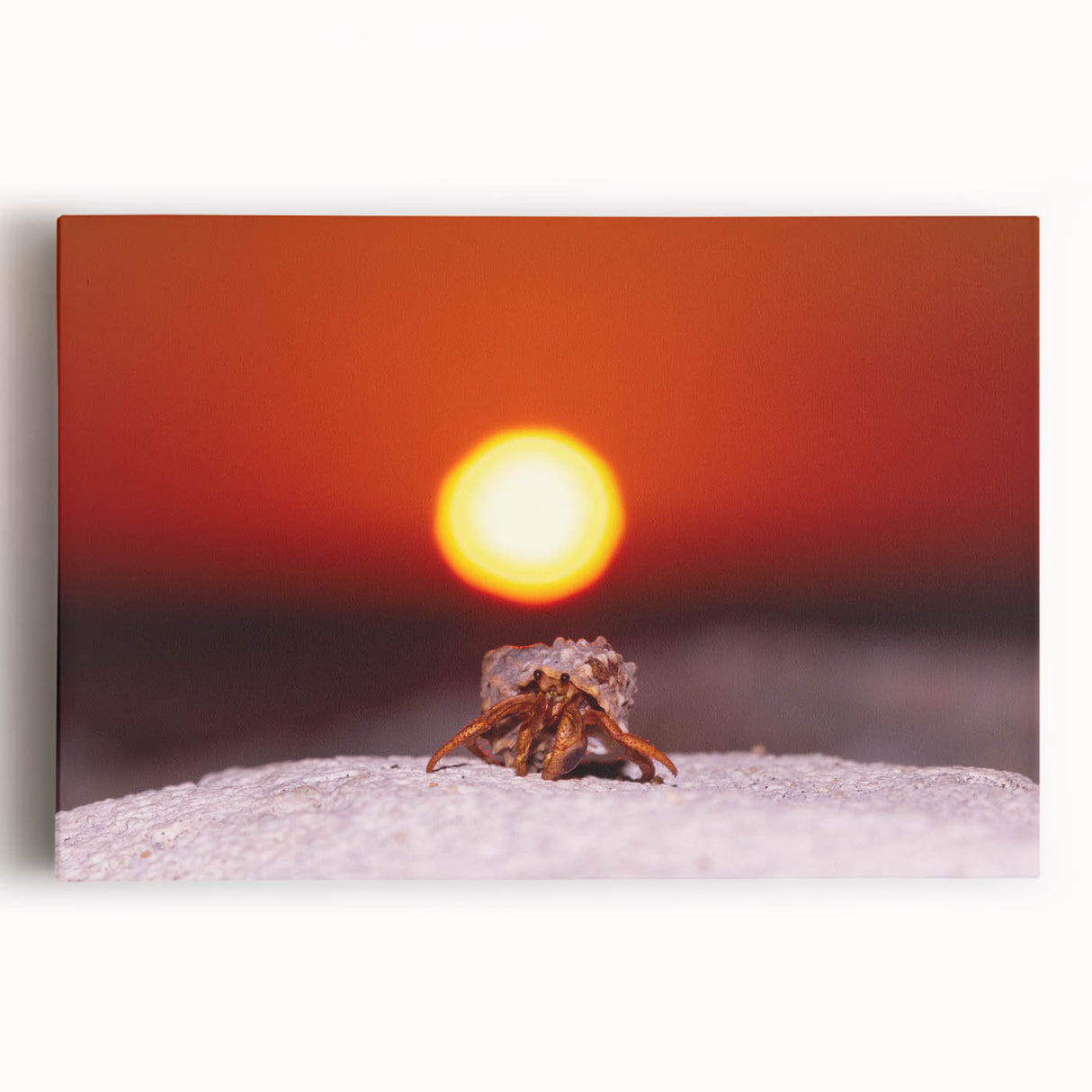 Black and white stretched canvas featuring a Caribbean Cayman scenery, ideal for kitchen wall art.