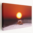 Large canvas print of a serene Caribbean beach scene with soft blue and white tones, ideal for kitchen wall art.