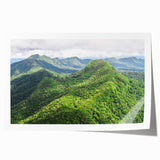 Extra large rolled canvas featuring a vibrant floral scene in Belize, ideal for art wall dining room decor.