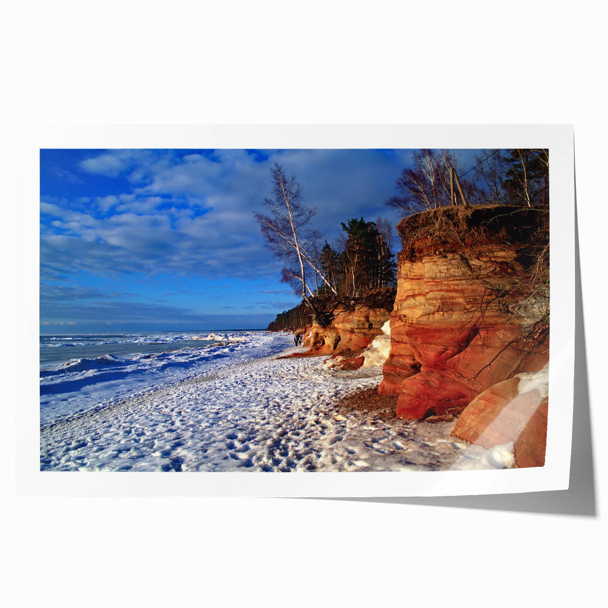 Rolled print of a Latvian landscape with vibrant greenery and floral elements, ideal for art wall dining room.