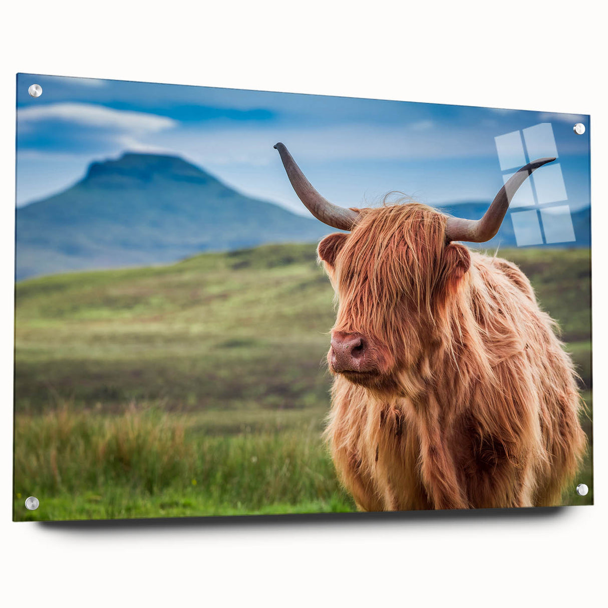 Acrylic print of a Scottish landscape in muted green and blue tones, ideal for dining room decor.