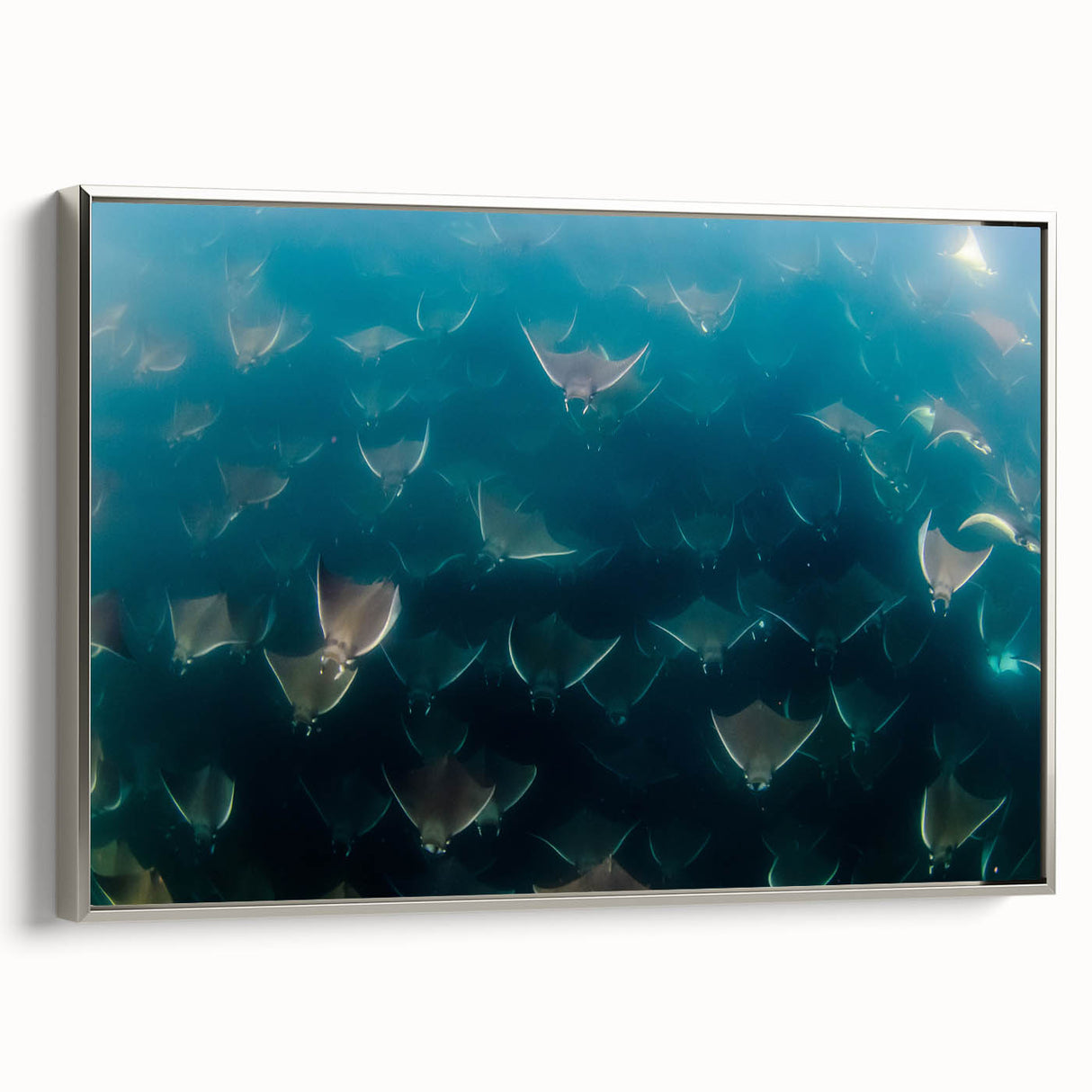 Framed canvas featuring a vintage-style landscape art painting of Baja California with muted earth tones.
