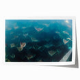Extra large rolled print of Baja California scenery with vibrant floral elements, ideal for classy bathroom wall art.