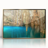 Framed acrylic print of Yucatan scenery with lush greenery and a gold frame, in mid-century modernist style.