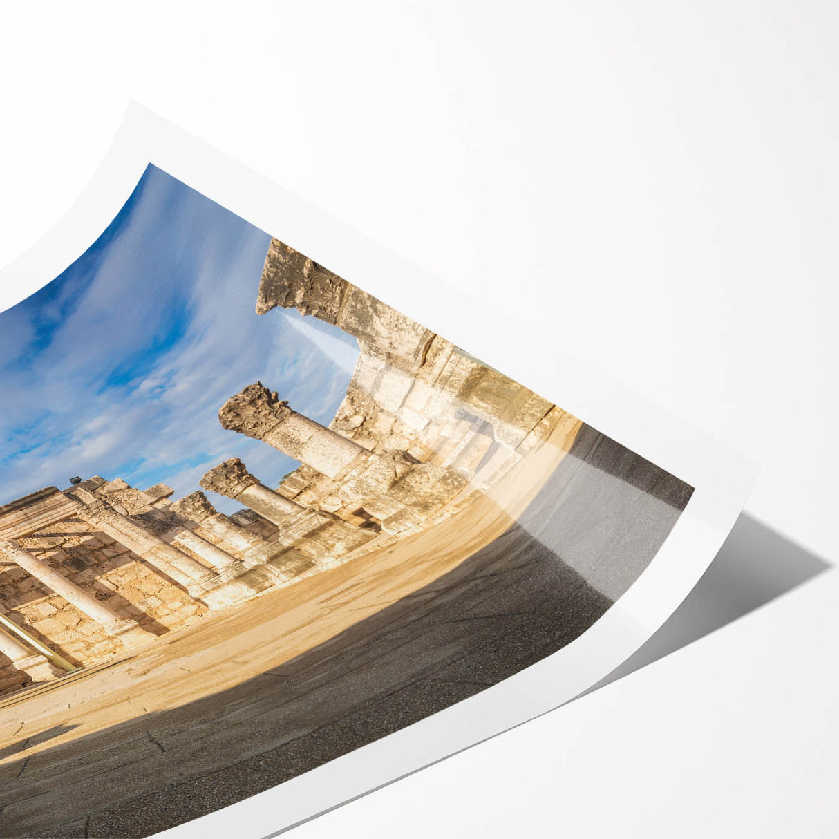 Extra large wall art featuring line art flowers in a Middle Eastern scenery on a rolled print.