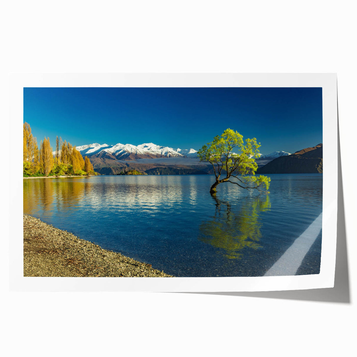 Extra large floral art on rolled print depicting Otago, New Zealand scenery.
