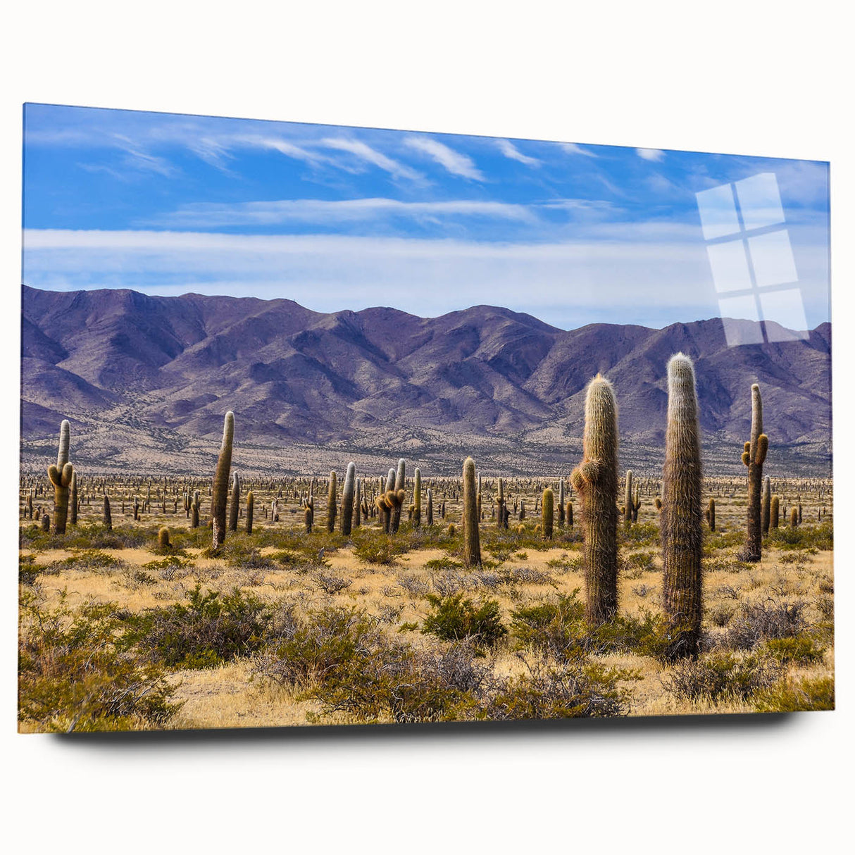 Large abstract depiction of an Argentine landscape in muted earth tones on acrylic glass.