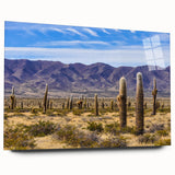 Large abstract depiction of an Argentine landscape in muted earth tones on acrylic glass.