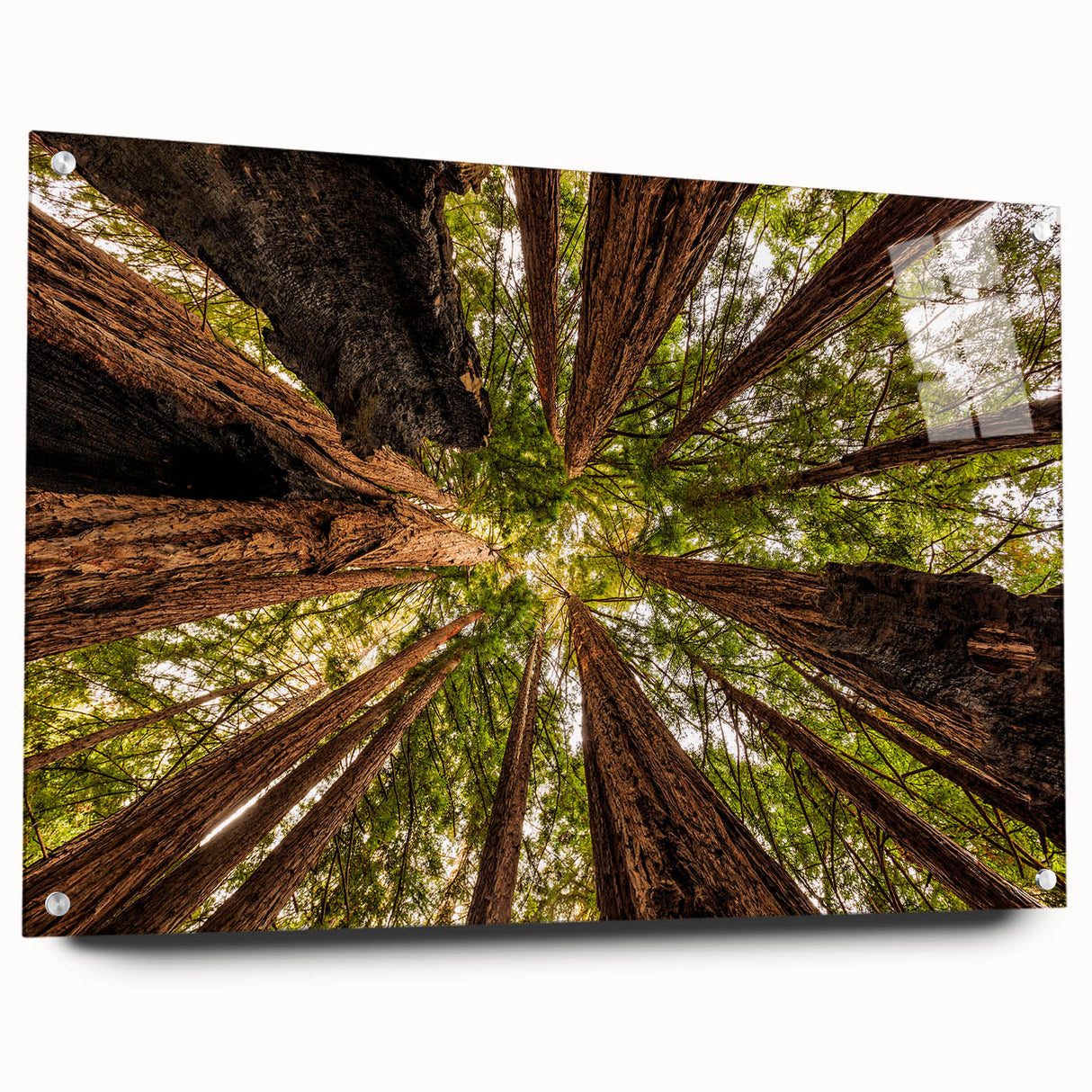 Acrylic print of Big Sur coastline in muted blue and green tones, suitable for bedroom or dining room decor.
