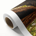 Art Deco poster of California's Big Sur coastline in soft pastel colors on rolled canvas, ideal for nursery wall art.