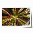 Rolled print of Big Sur scenery in muted earth tones, ideal for art wall dining room.