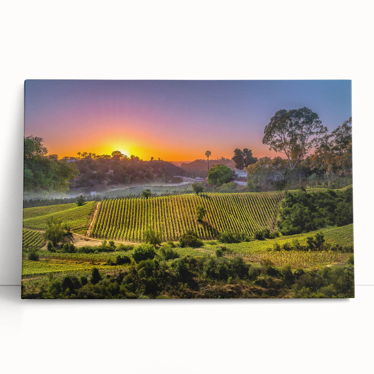 Black and white stretched canvas of Napa Valley landscape, ideal for kitchen wall art.