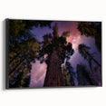 Black and white wall art of a Sequoia landscape on framed canvas, ideal for bedroom decor.
