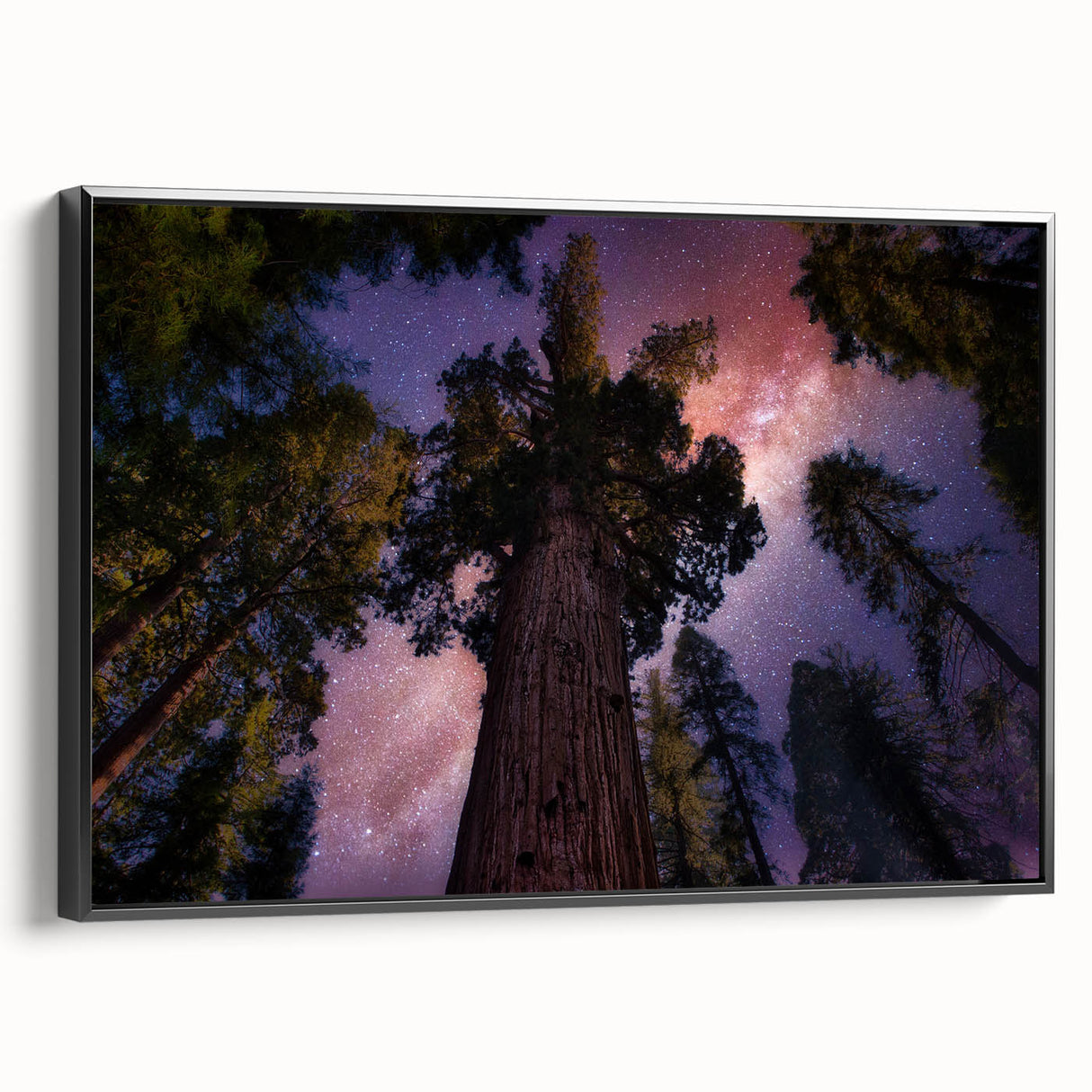 Black and white wall art of a Sequoia landscape on framed canvas, ideal for bedroom decor.