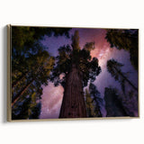 Framed canvas featuring a vintage-style landscape painting of California's Sequoia National Park in muted earth tones.