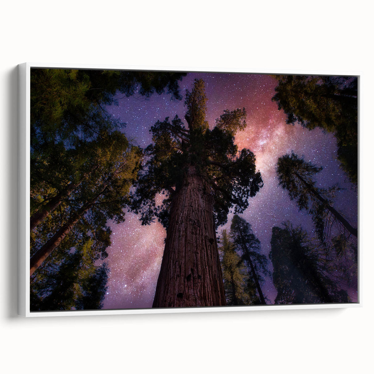 Vintage poster art of California sequoias, framed canvas with a colorful palette, ideal for living room decor.