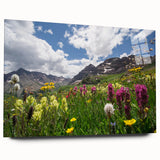 Large abstract wall art of Aspen, Colorado scenery in vibrant autumn colors on acrylic glass.