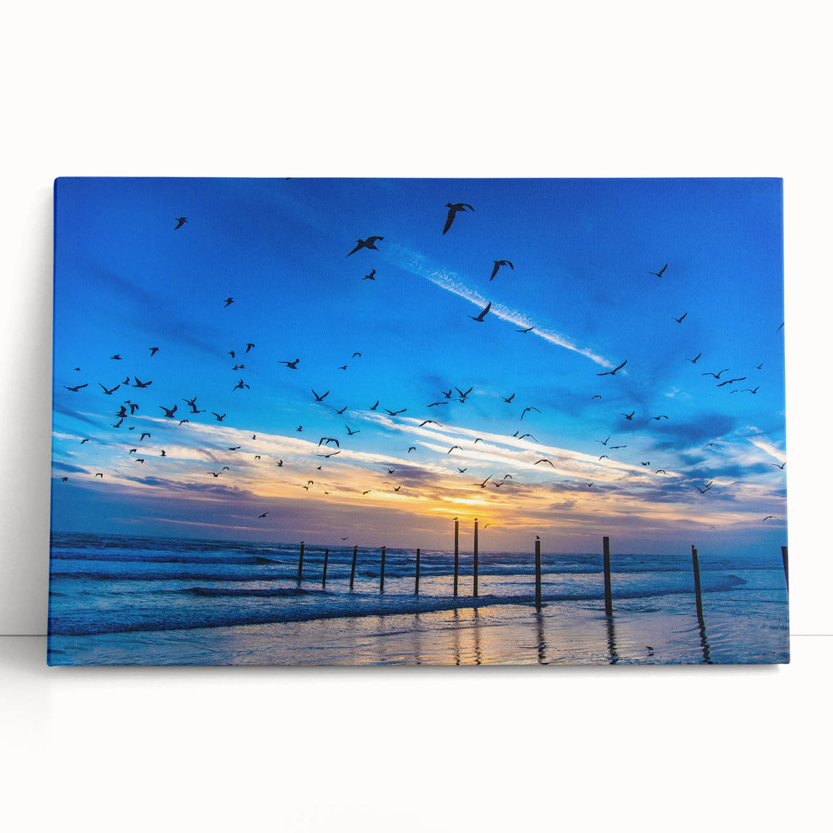 Black and white stretched canvas featuring Daytona scenery, ideal for kitchen wall art or bedroom ambiance.