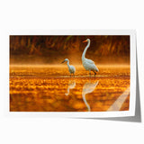Everglades landscape print on rolled canvas, featuring lush greenery and water in muted earth tones.