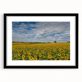Extra large abstract art print featuring textured, colorful art of Kansas scenery on a black framed canvas.