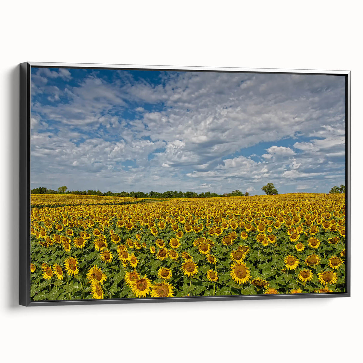Black and white wall art featuring a vintage Kansas landscape on framed canvas, suitable for bedroom decor.