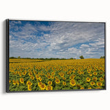 Black and white wall art featuring a vintage Kansas landscape on framed canvas, suitable for bedroom decor.