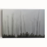 Black and white photo of Louisiana scenery on stretched canvas, ideal for kitchen art.