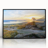Large abstract wall art depicting Acadia, Maine, in muted earth tones on a black-framed acrylic print.