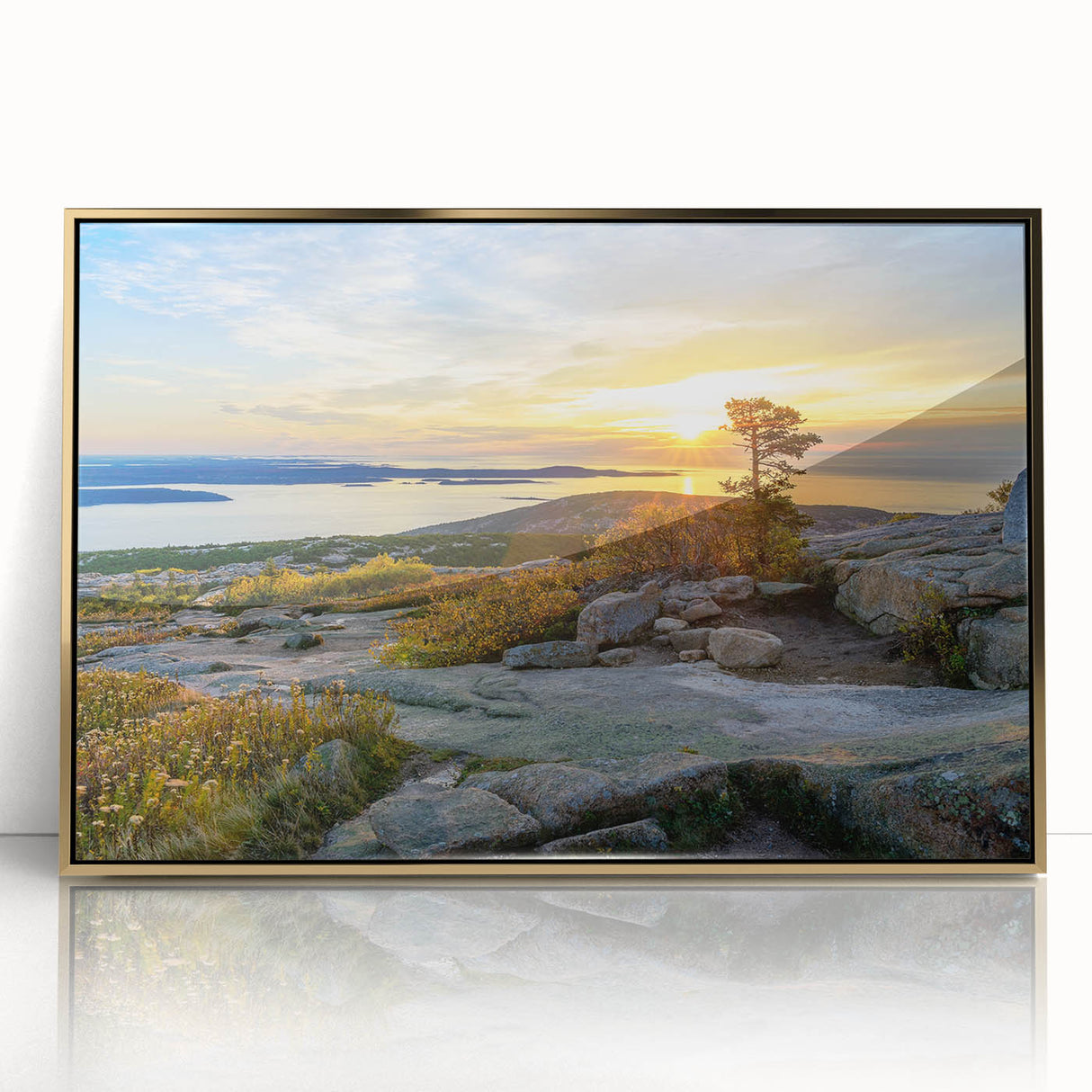 Acadia National Park scenery on a large acrylic print with gold frame, in mid-century modernist style.