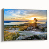 Framed canvas depicting a vibrant landscape of Acadia, Maine with colorful foliage and a silver frame.
