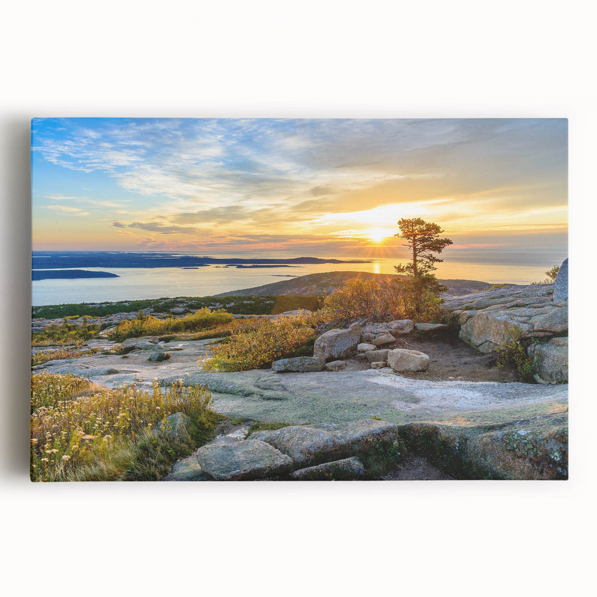 Black and white photo of Acadia National Park on large stretched canvas, suitable as kitchen art.