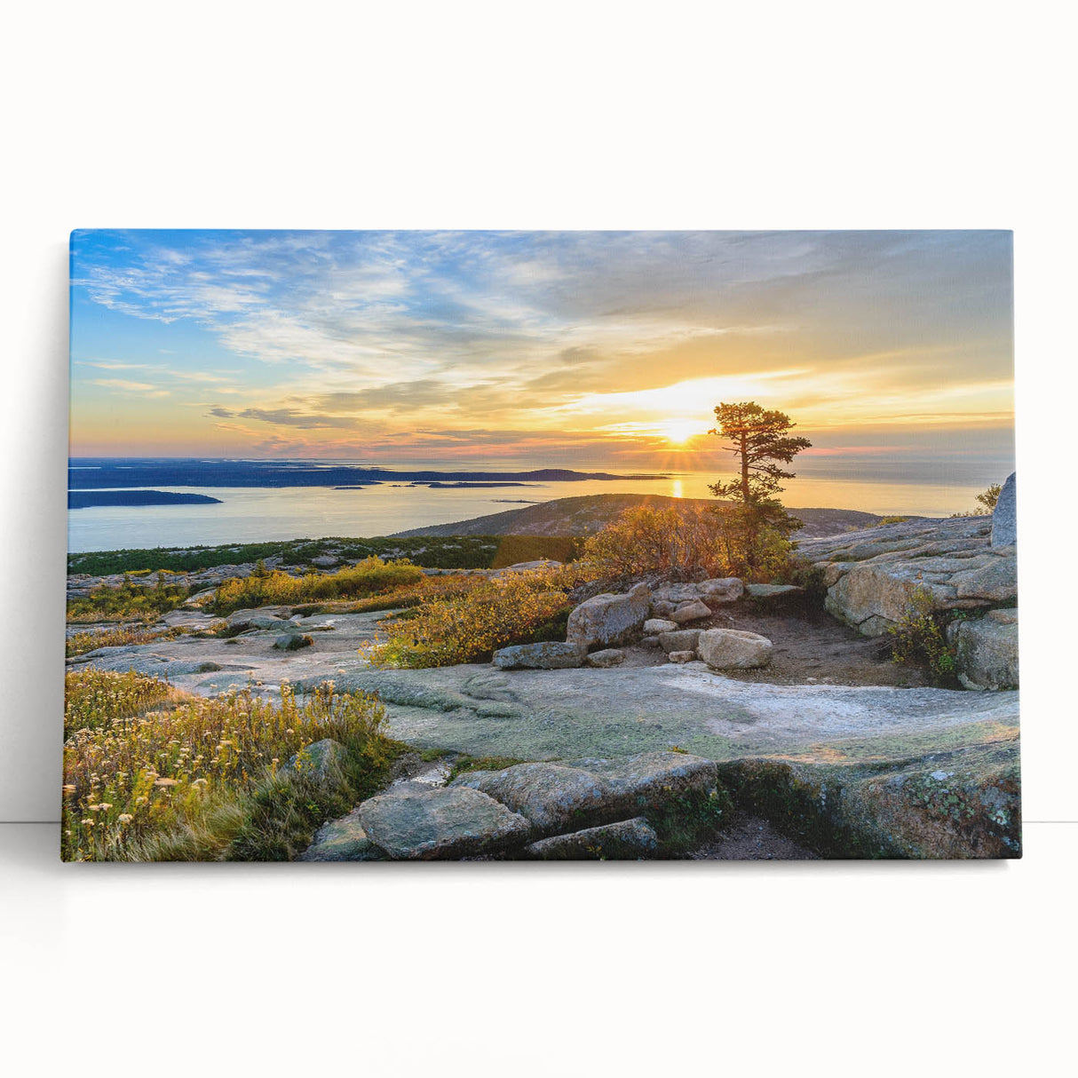 Black and white stretched canvas of Acadia National Park, ideal for kitchen wall art or bedroom ambiance.