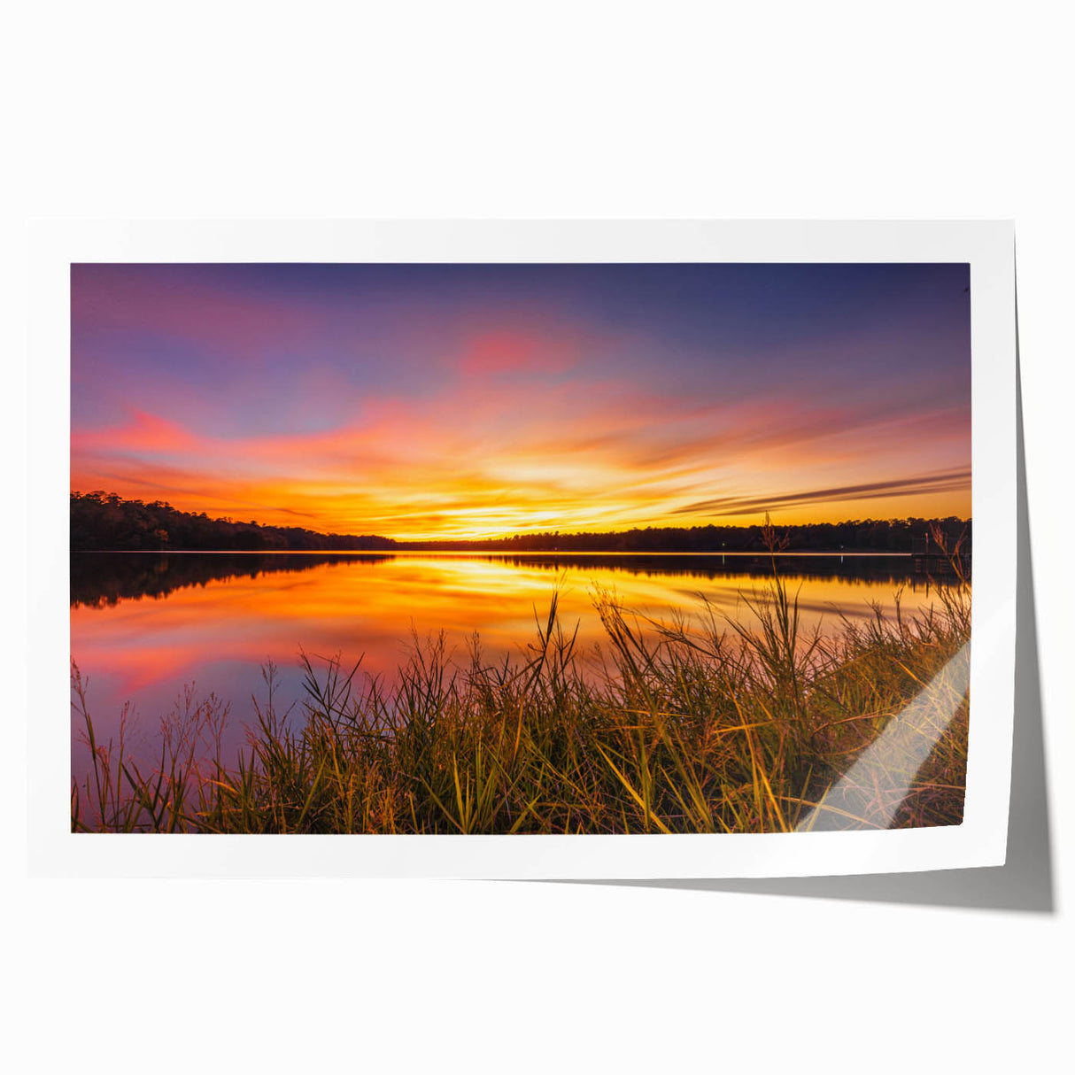 Mississippi scenery art on rolled print featuring delicate floral elements in soft pastel colors, ideal for dining room wall.