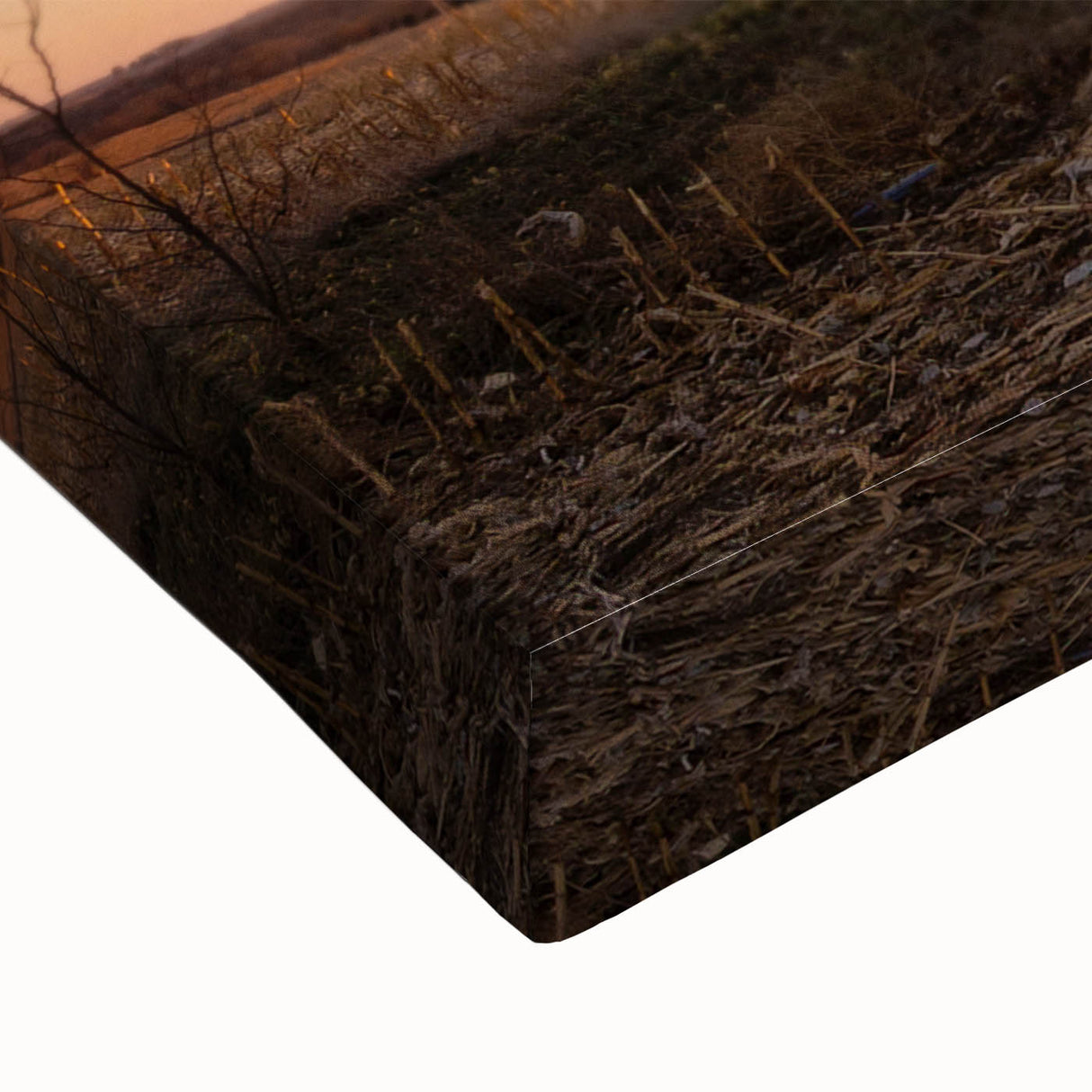 Large art depicting a black and white Nebraska landscape on stretched canvas, ideal for bedroom wall decor.