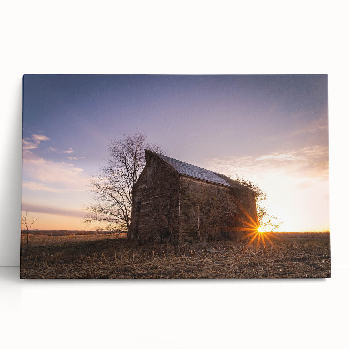 Black and white large art print of Nebraska scenery on stretched canvas, ideal for kitchen wall art or bedroom ambiance.
