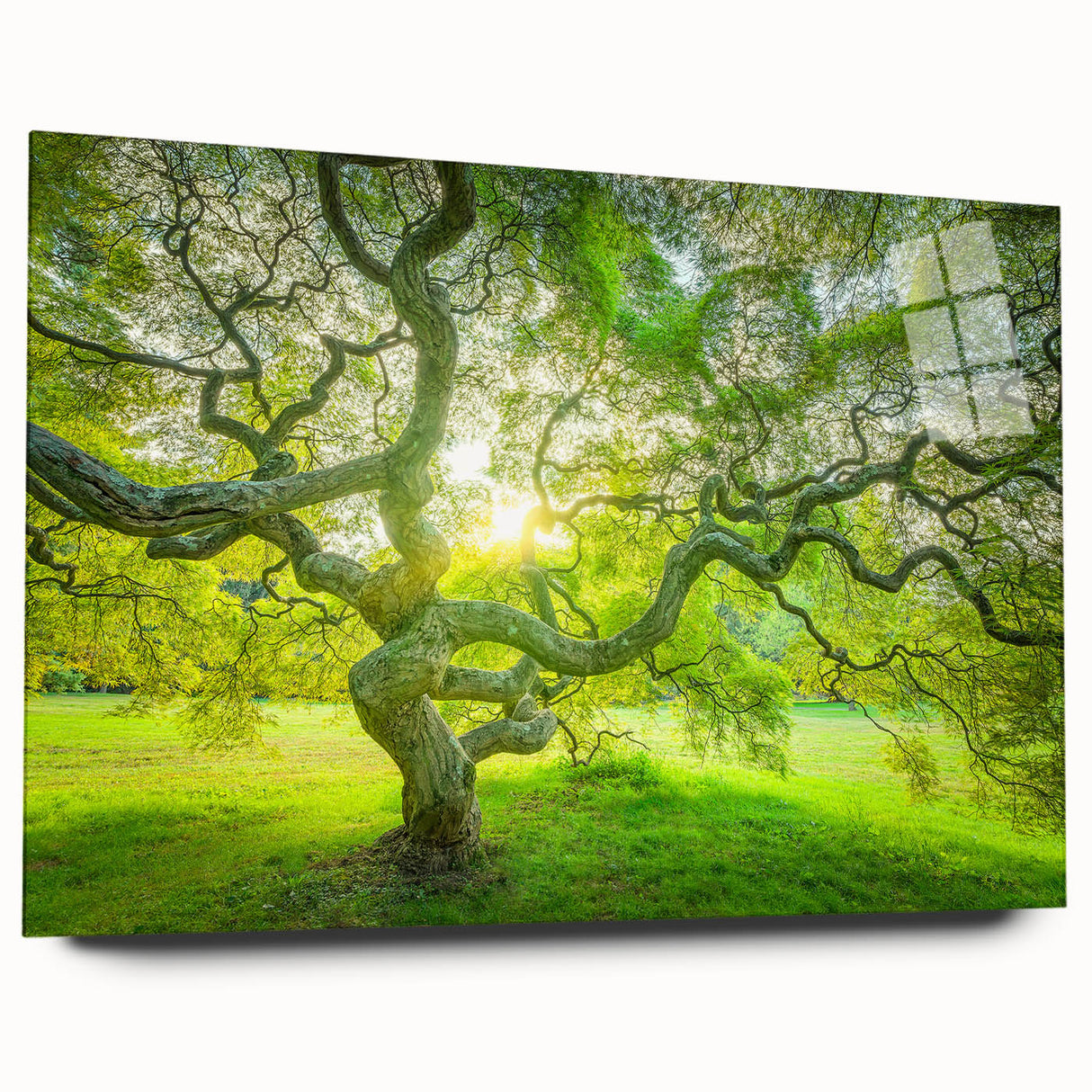 Large abstract wall art of New Jersey scenery in muted earth tones on acrylic glass.