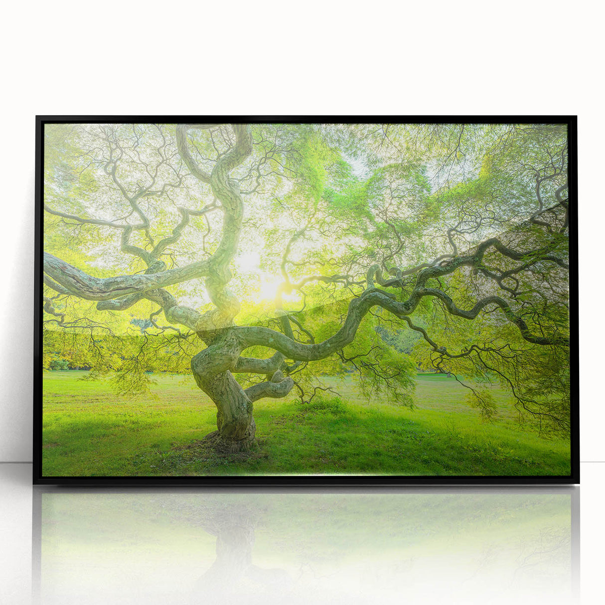 Large abstract wall art of New Jersey scenery in black and white, framed in acrylic, suitable for modern living room decor.