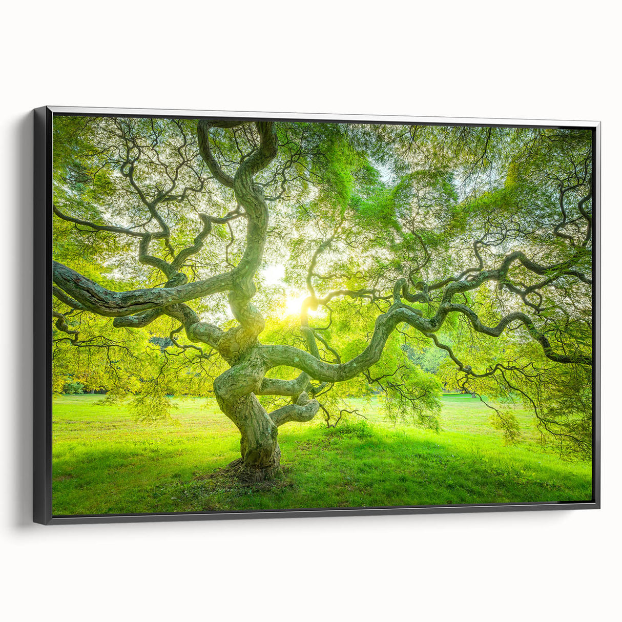 Black and white framed canvas of New Jersey landscape, ideal for bedroom wall art.