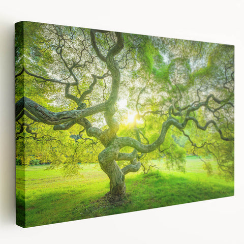 Large art depicting a panoramic New Jersey scenery in muted earth tones on stretched canvas, suitable for kitchen wall art.