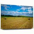 Acrylic print of Raleigh, North Carolina skyline in muted earth tones, ideal for dining room art.