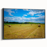 Black and white framed canvas of Raleigh landscape with vintage poster art style, suitable for bedroom.