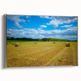 Framed canvas of Raleigh, North Carolina landscape painting in vibrant colors, ideal for living room decor.