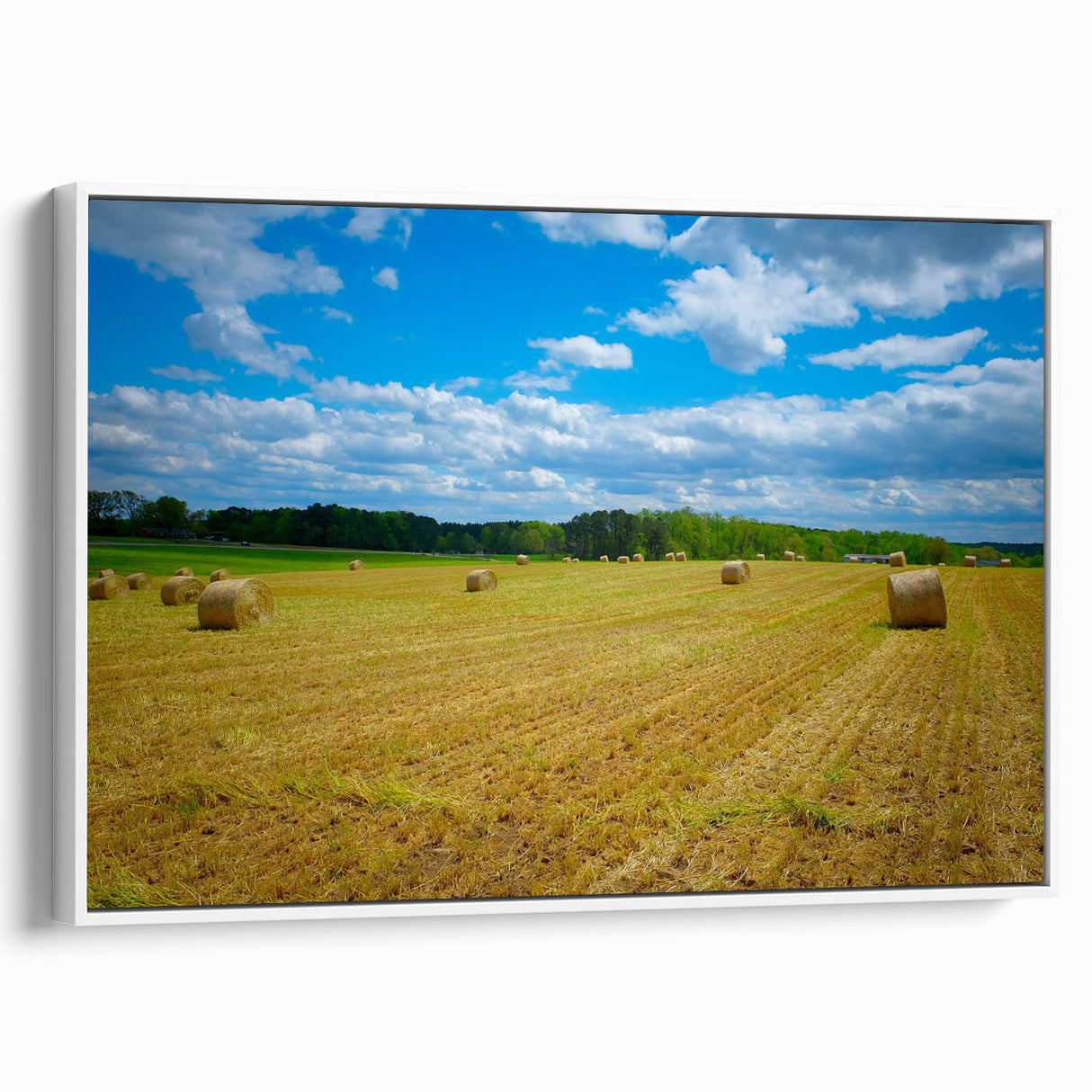 Vintage poster art of Raleigh, North Carolina, featuring colorful art on a large framed canvas, ideal for living room decor.
